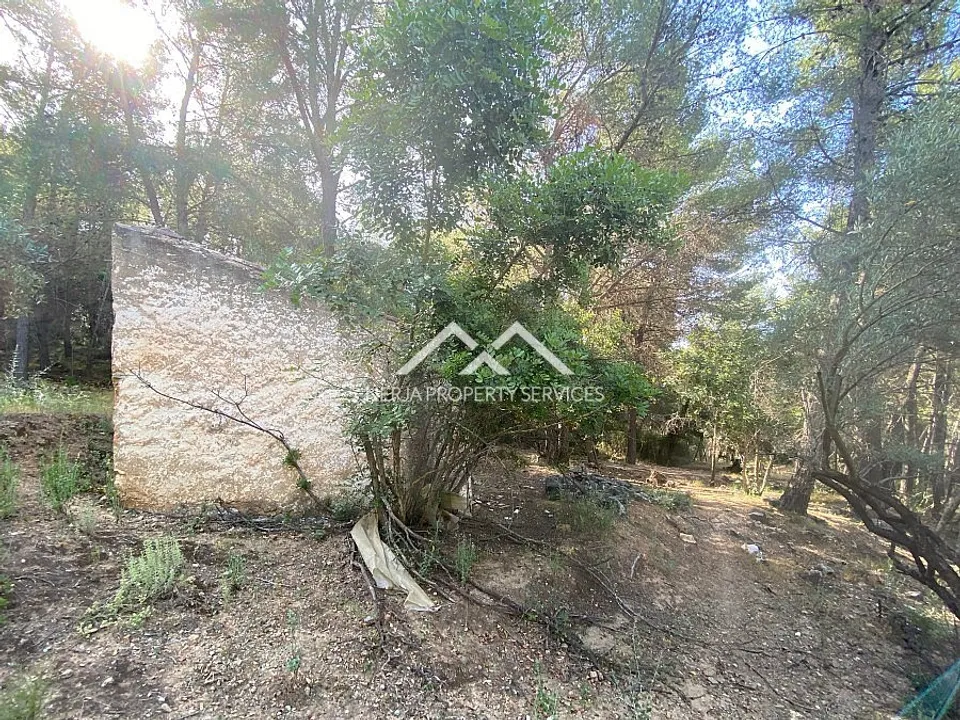 Nerja Property Services photo 3