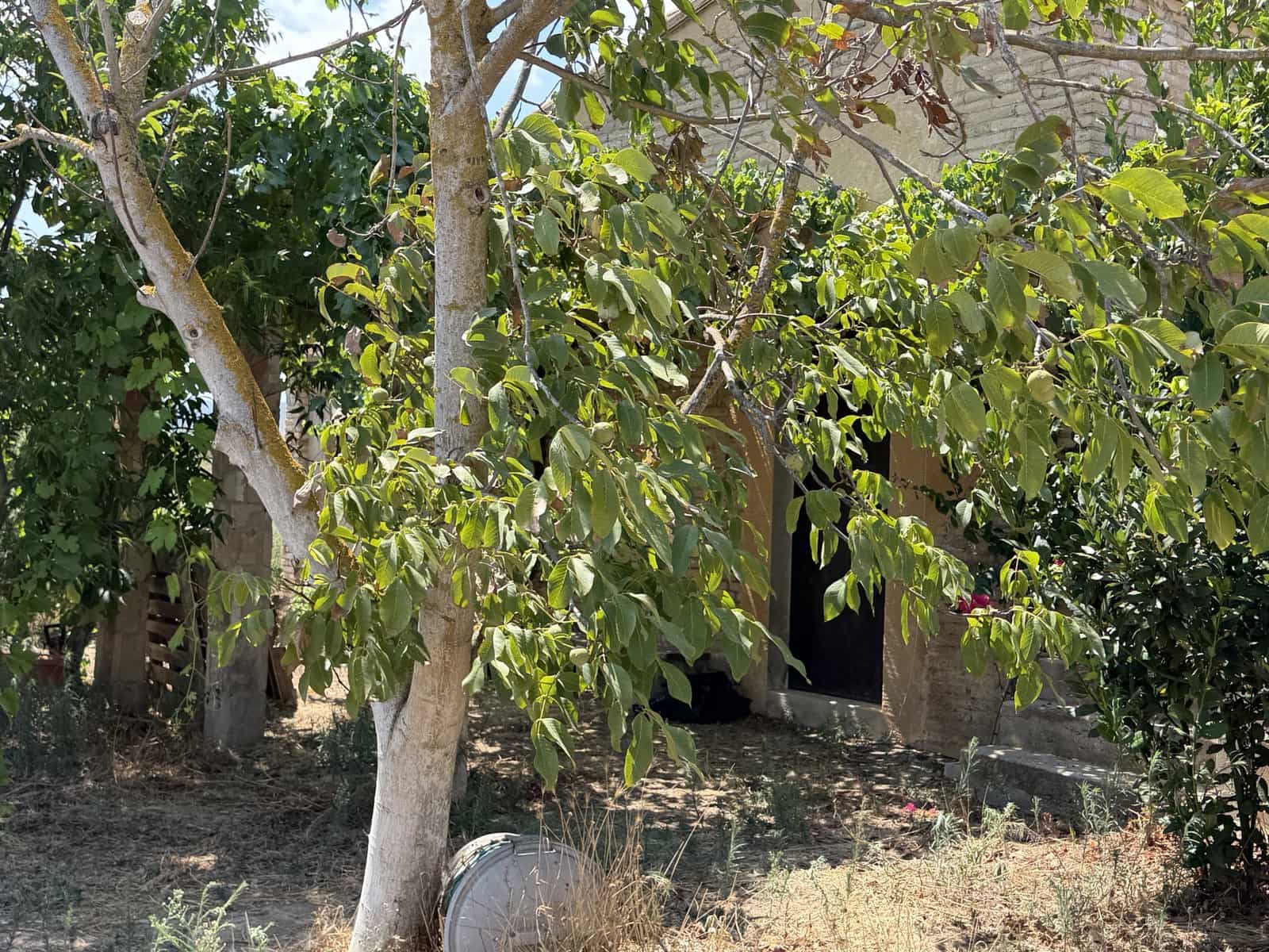 Finca/Country House for sale in Ginestar, Tarragona photo 4