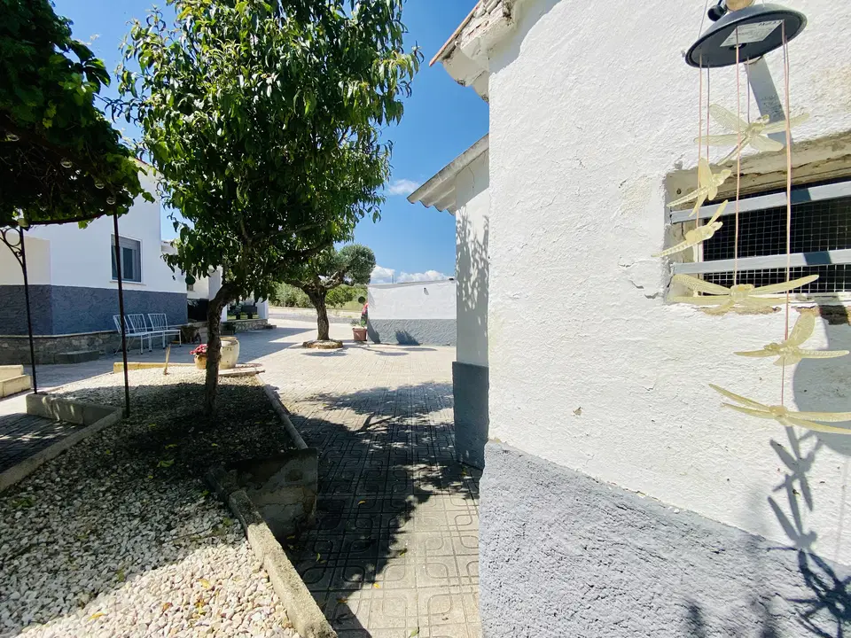 Villa in Cocentaina, Alicante province photo 4