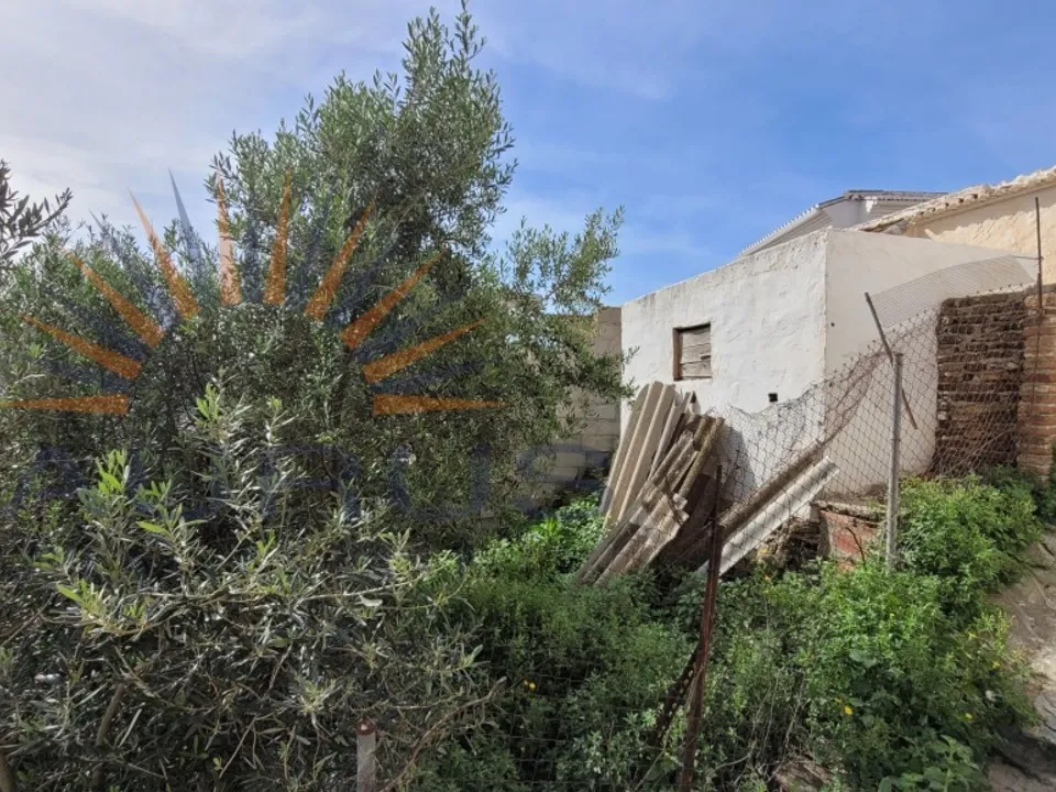 Taurus Real Estate photo 2