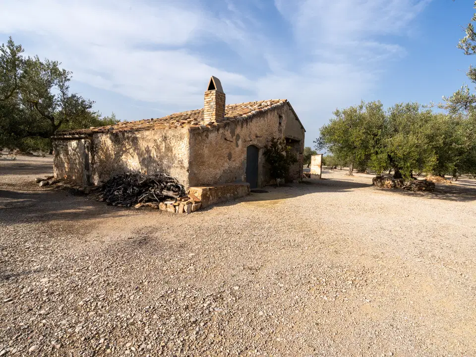 MAS CATALAN RURAL PROPERTIES S.L.U. photo 3