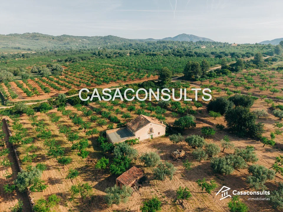 Country house in Les Useras, Castellon photo 5