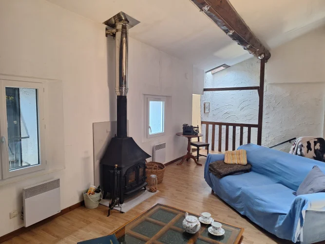 Large Village House photo 3