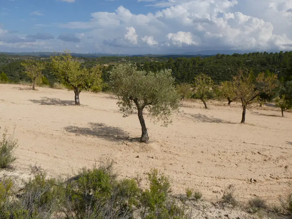 Finca in Calaceite, Teruel province photo 3