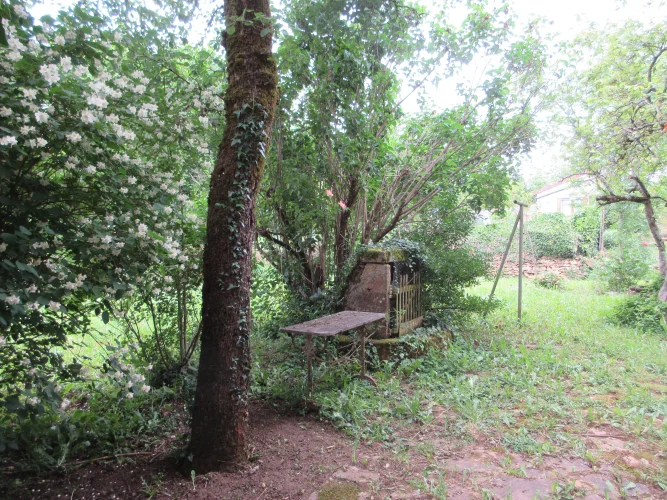 Charming Renovation Project! photo 3