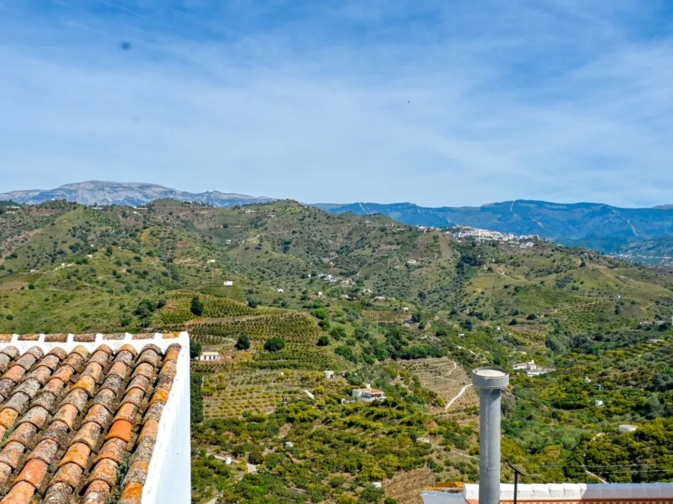  Expat Real Estate & Consulting  photo 2