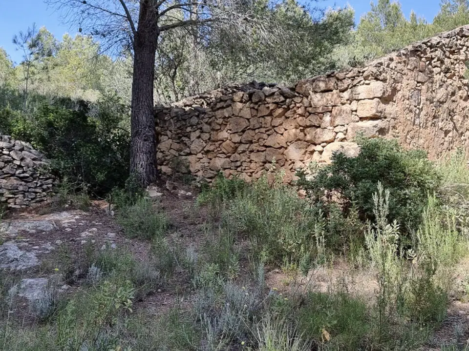 Catalancasas photo 5
