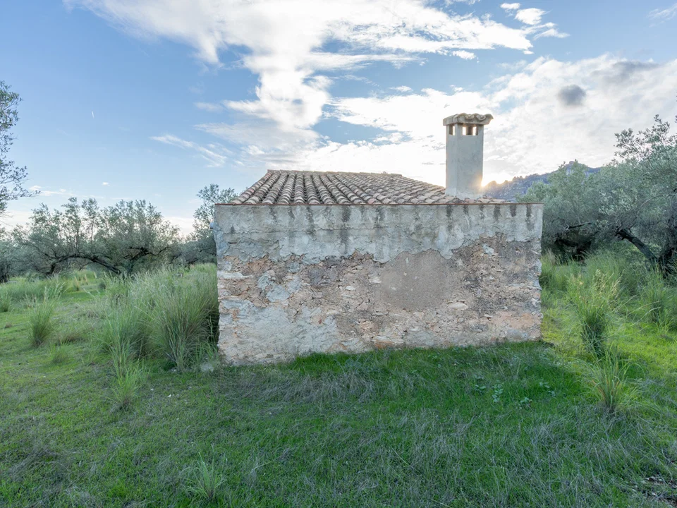 Finca in Roquetes, Tarragona province photo 4