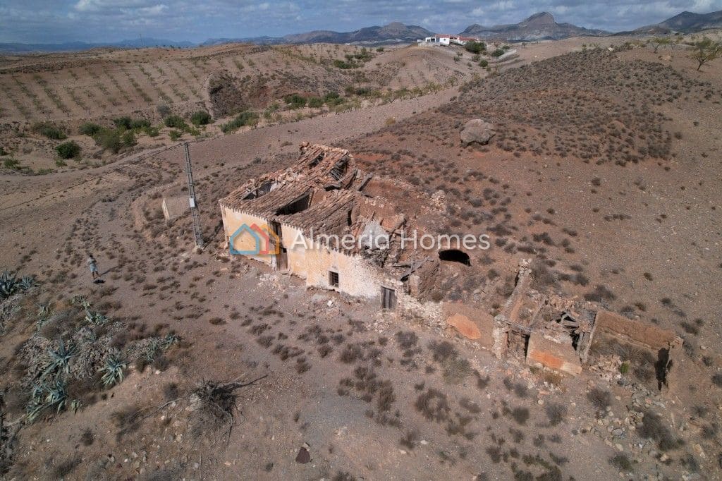 Finca/Country House for sale in Albox, Almería photo 4
