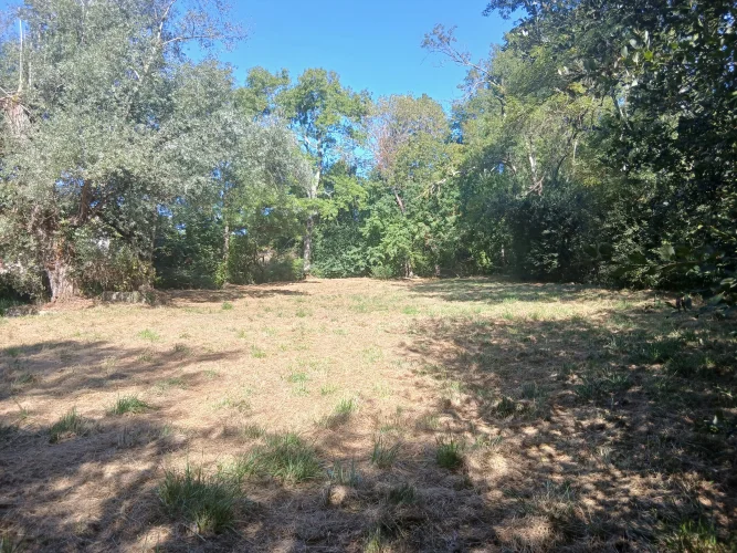 Charming Former Mill, only 2 km to Amenities photo 2