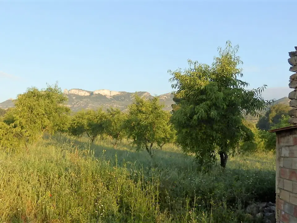 Finca in Miravet, Tarragona province photo 2