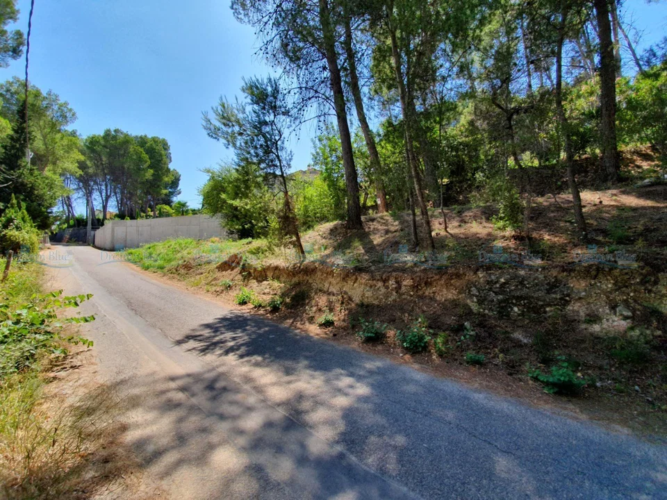 Dream'n Blue Properties photo 4