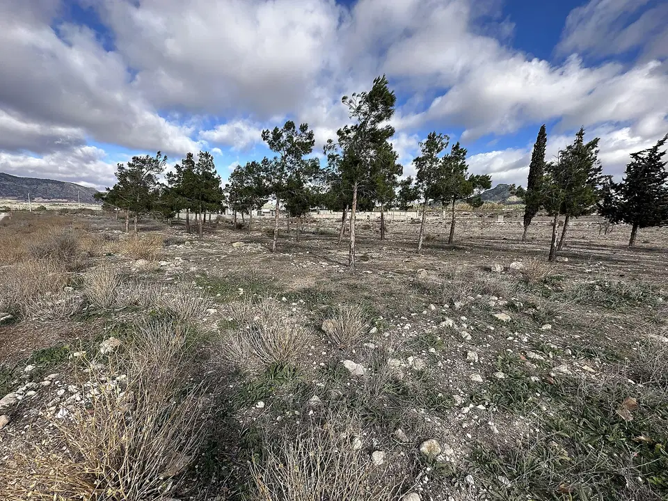 Alicante Dream Property 