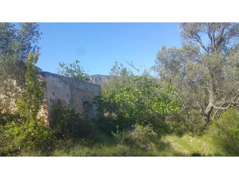 Beach Property in Spain photo 5