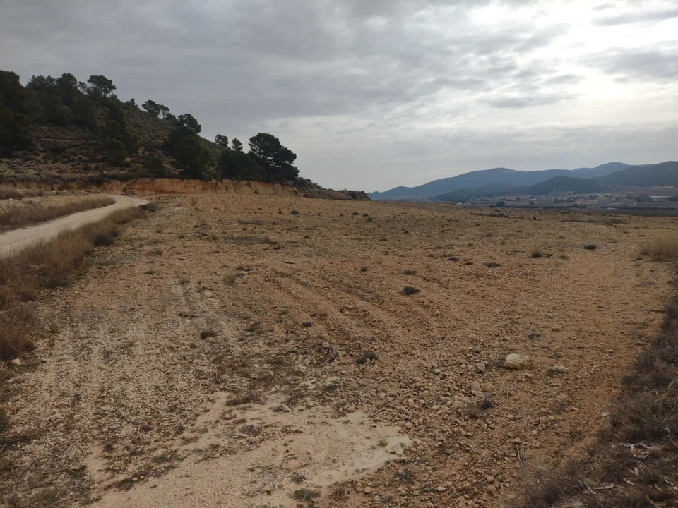 Country Fincas Pinoso S.L. photo 4