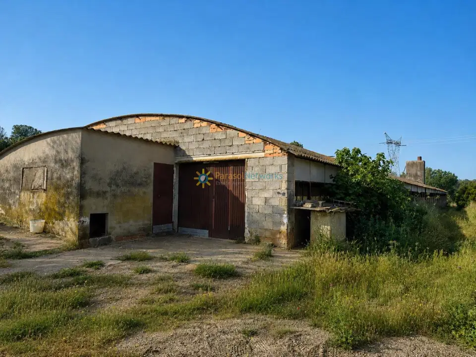 Parasol Networks Estate Agents/Inmobiliaria 