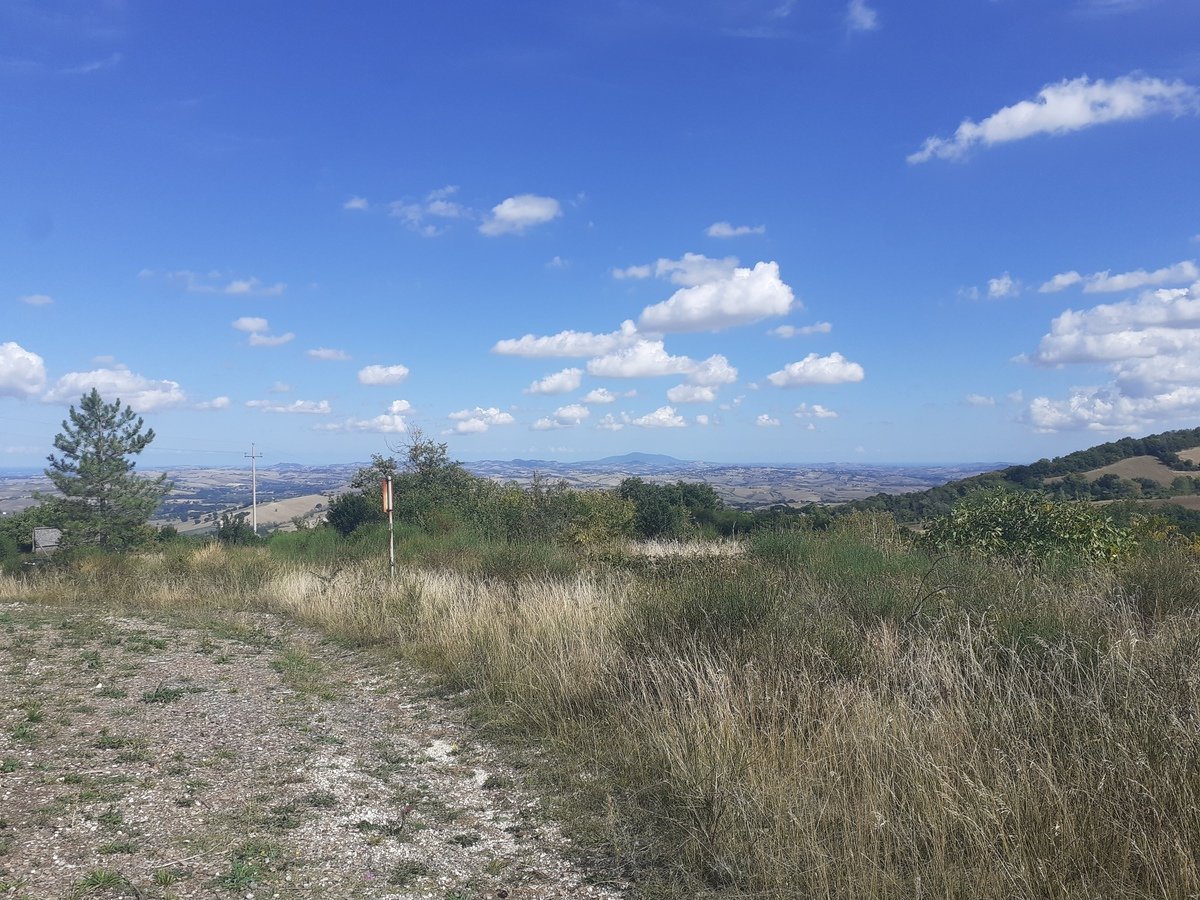 5 bedrooms country house, 365 m² Cingoli, Macerata (province)