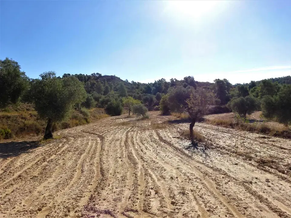 Finca in Caspe, Zaragoza province photo 3