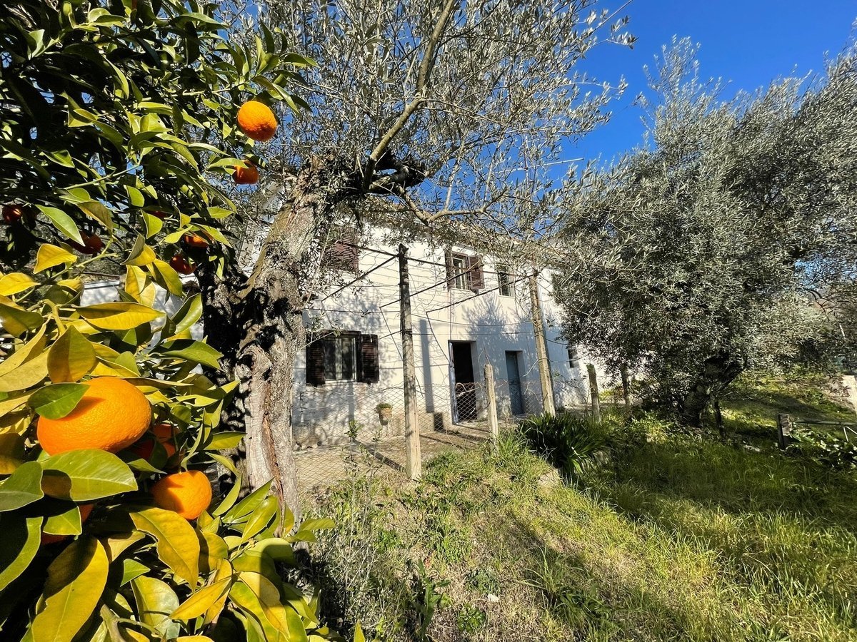 2 bedrooms detached house, 90 m² Arpino, Frosinone (province) photo 3