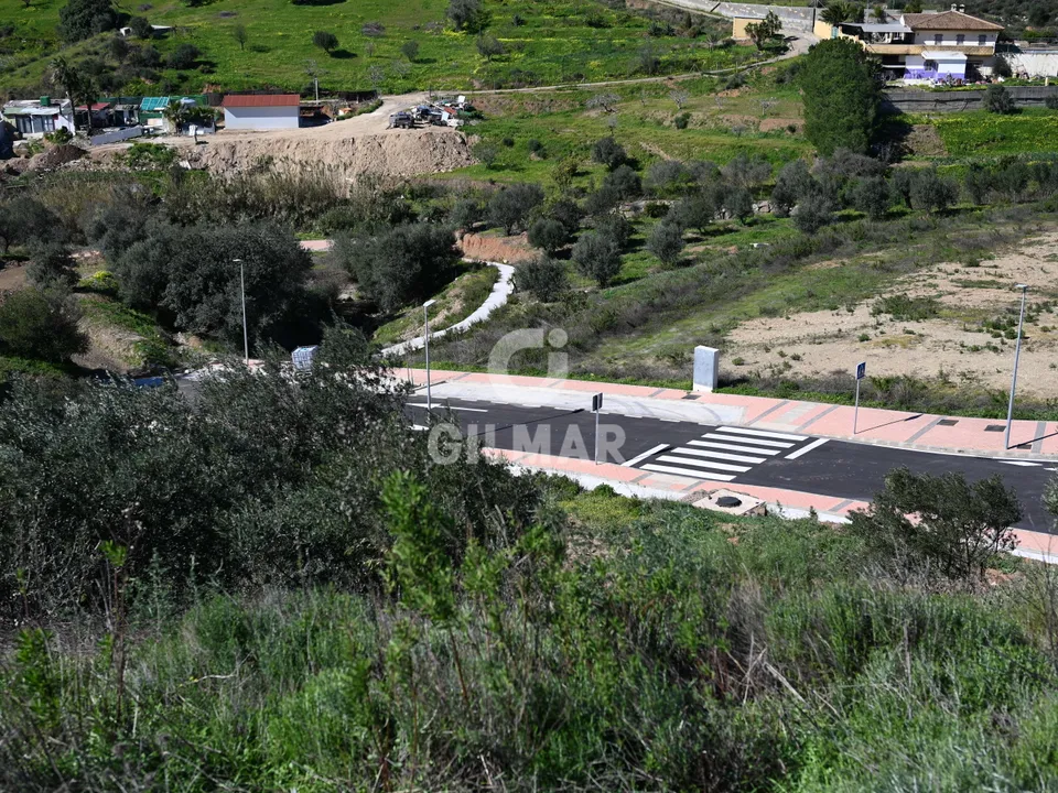 Gilmar photo 5