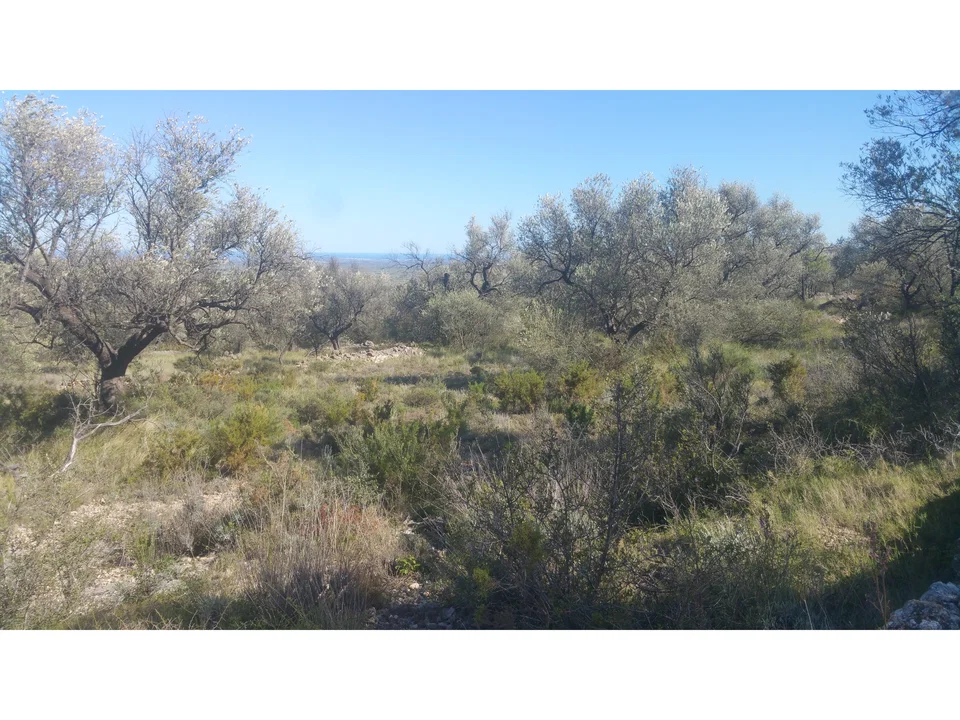 Beach Property in Spain photo 3
