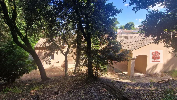 Single-Storey Villa with 4 Bedrooms, 84500 Bollène