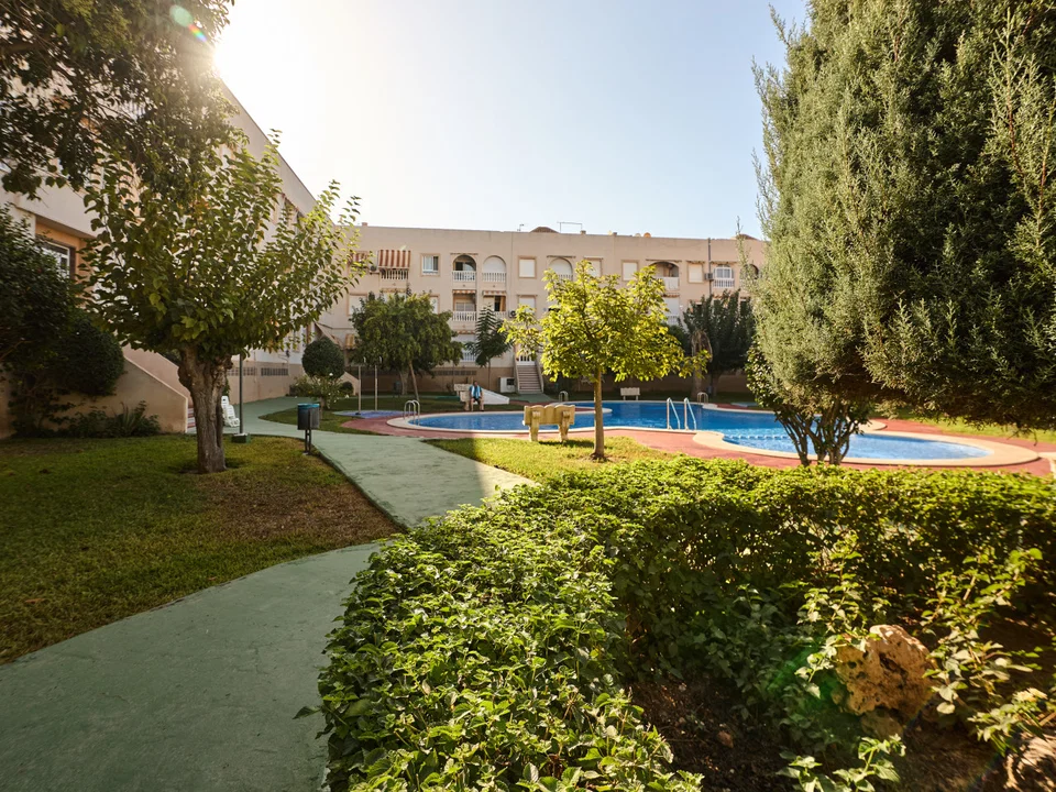Apartment in Torrevieja, Alicante province photo 3