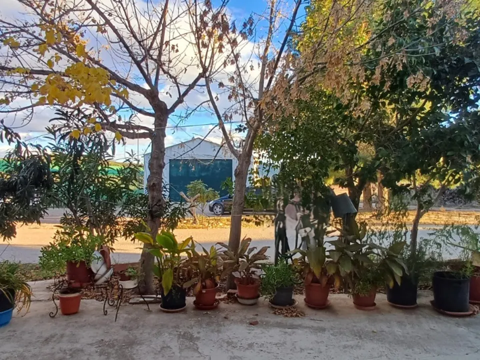Stratus International Properties photo 4