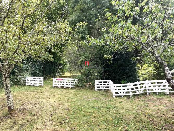 House for Sale Cavignac photo 4