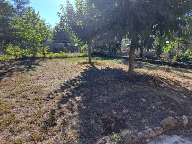 Village House with Garden photo 2