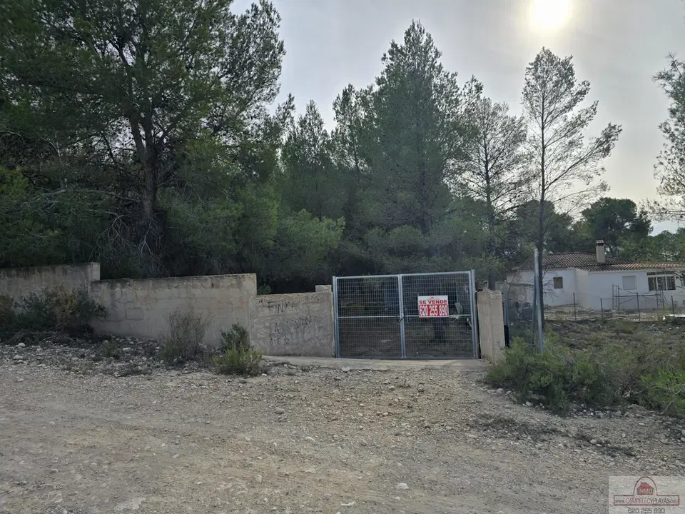 ARAER SERVICIOS photo 2