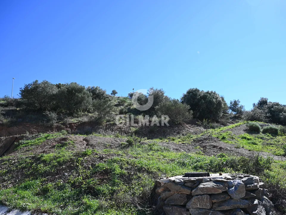 Gilmar photo 3