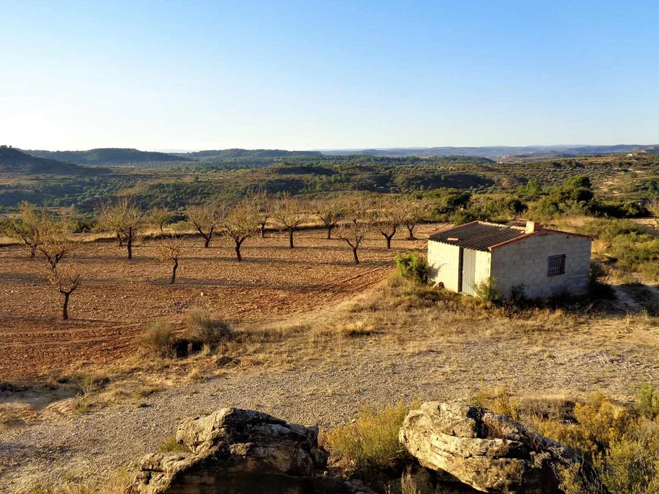 Finca in Maella, Zaragoza province photo 5