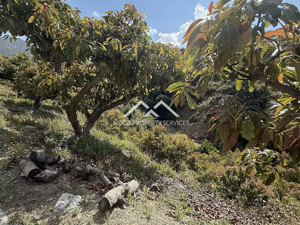 Nerja Property Services photo 3