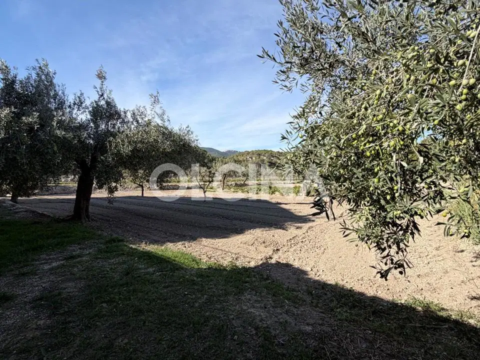 Country house in Tibi, Alicante province photo 5