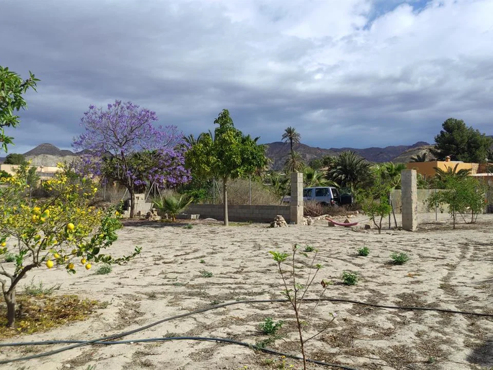 Grupo Platinum Estates sl photo 3