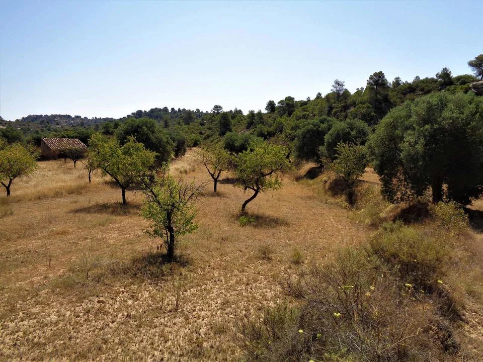 Finca in Maella, Zaragoza province