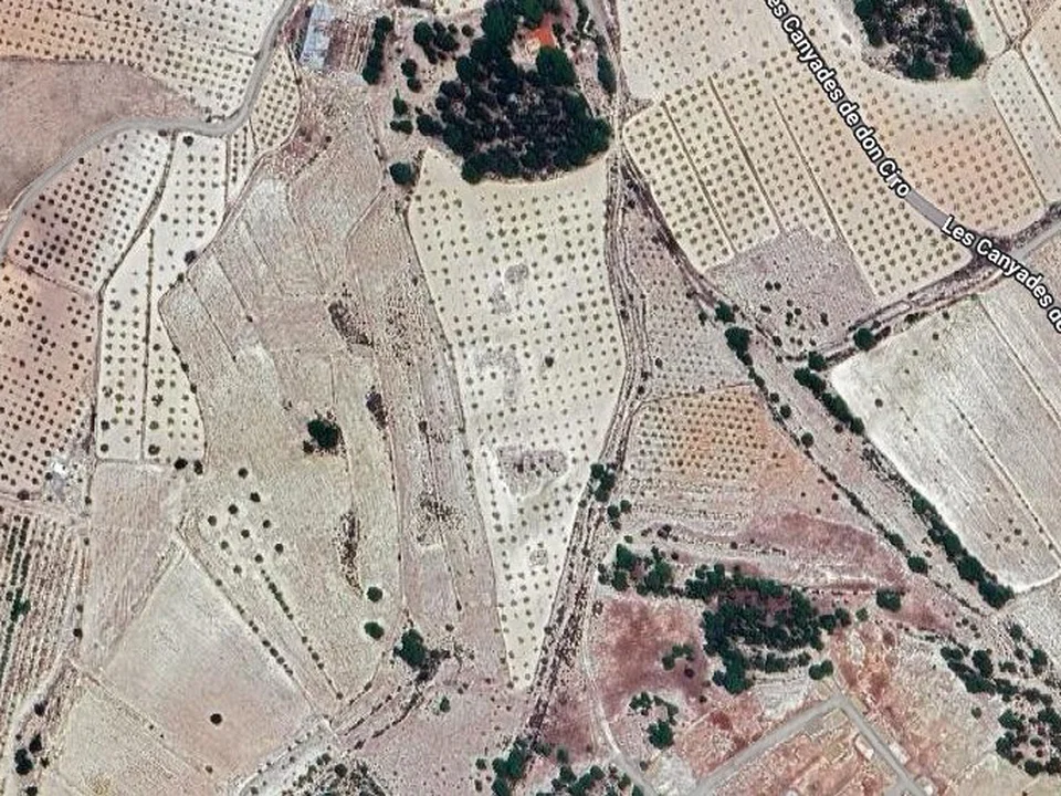 Country Fincas Pinoso S.L. photo 4
