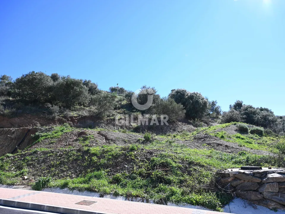 Gilmar photo 2