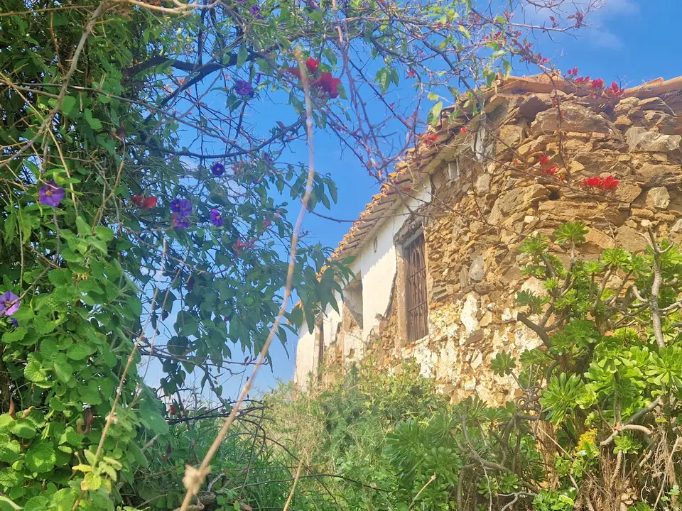 Unspoilt Andalusia photo 2