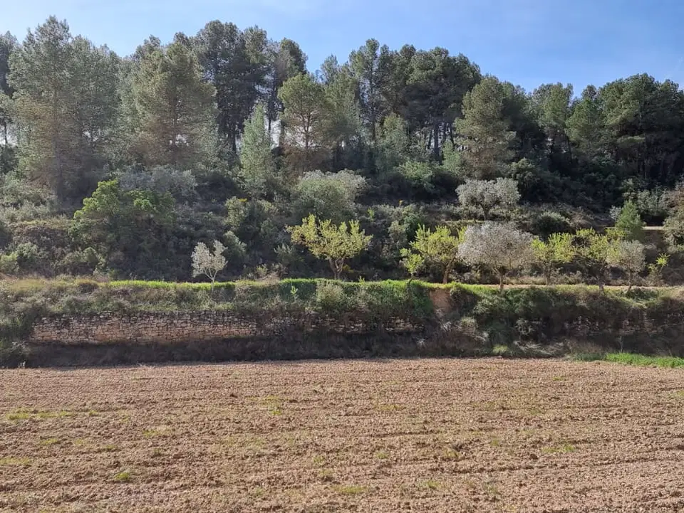 Catalancasas photo 4