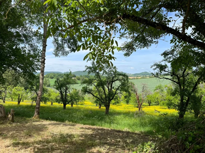 Quercy-Style House with Unobstructed Views photo 2