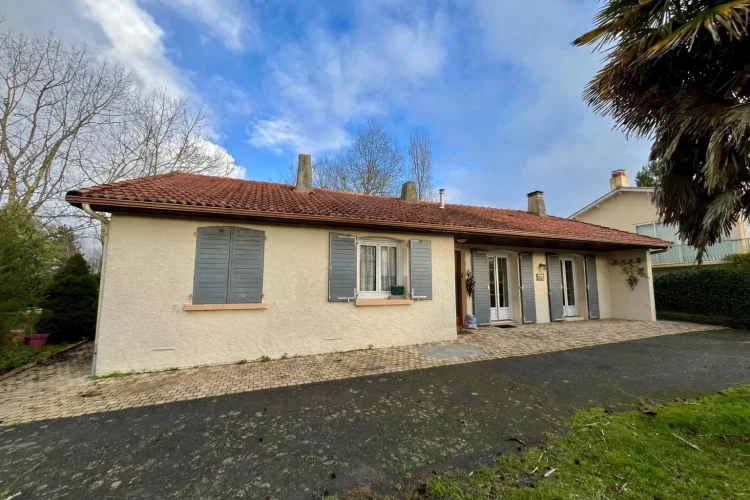 Attractive Single-Storey House