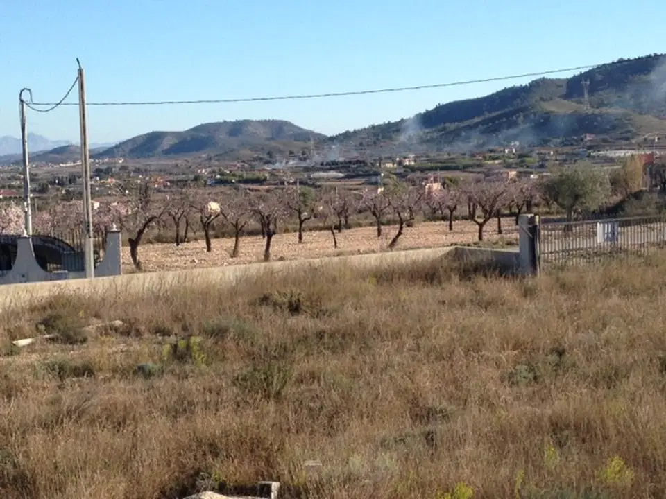 Alicante Dream Property 