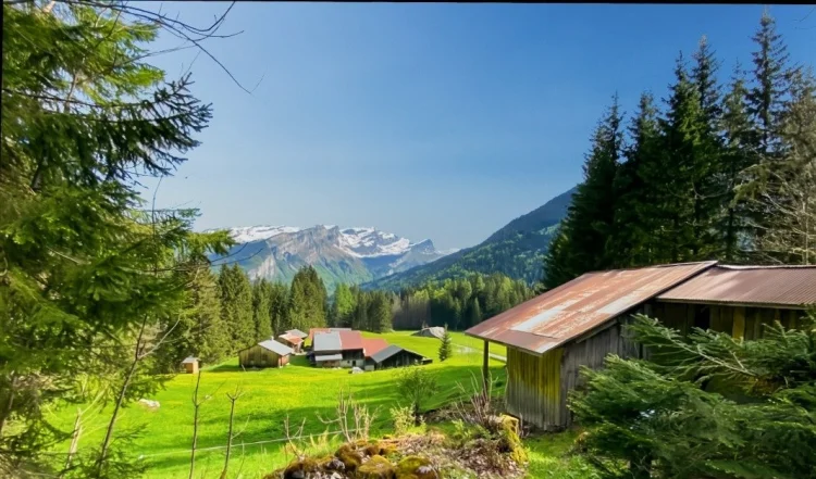 Alpine Chalet Benefits from an Approved Building Permit in Sixt-Fer-a-Cheval