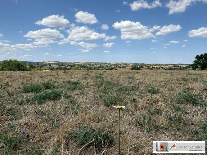 House with Unobstructed Views and Nearly Two Hectares of Land