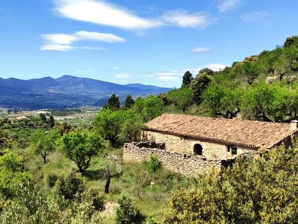 Finca in Benasau, Alicante province
