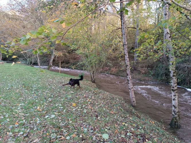 A Rare Property Situated on the Riverbank in a Preserved Green Natural Setting. photo 4