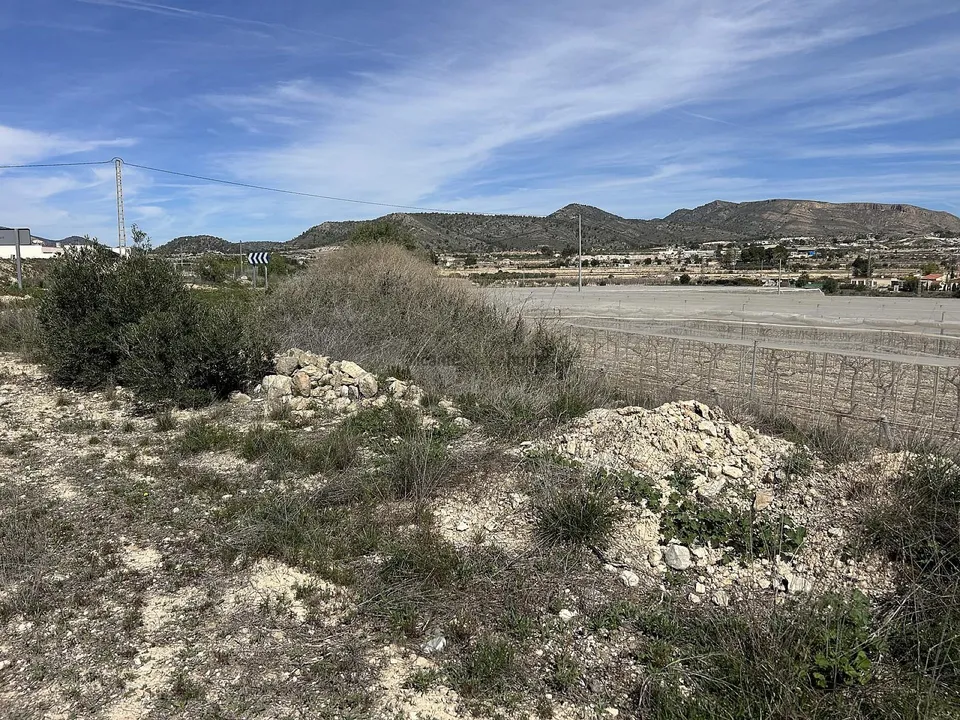 Alicante Dream Property  photo 4