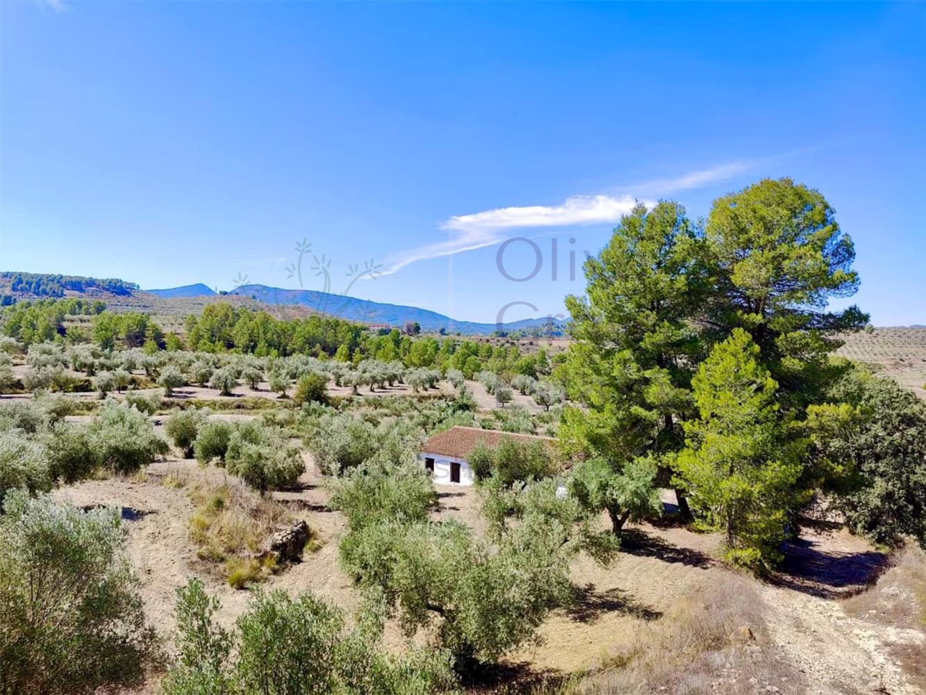 Finca/Country House for sale in Penàguila, Alicante photo 3